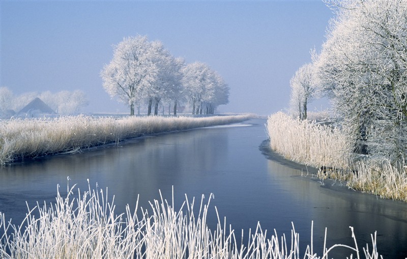 Nature_Winter.jpg